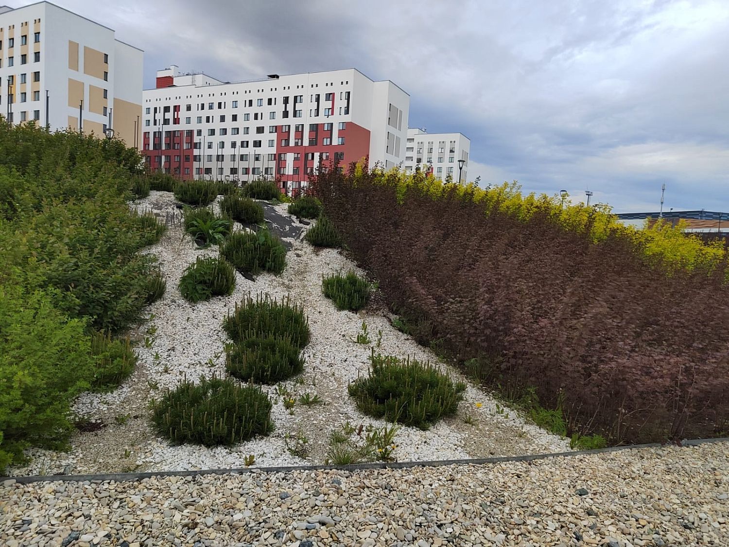 Благоустройство кампуса УрФУ, Екатеринбург